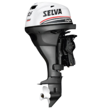 Selva outboard engine Kingfish 25