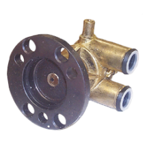 Cooling water pumps